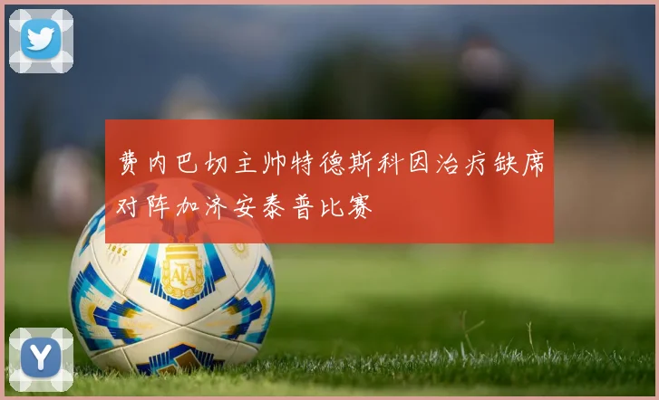 费内巴切主帅特德斯科因治疗缺席对阵加济安泰普比赛
