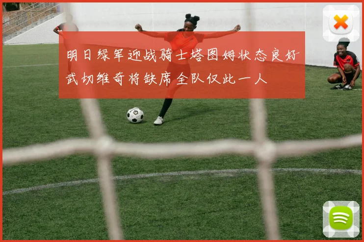 明日绿军迎战骑士塔图姆状态良好武切维奇将缺席全队仅此一人